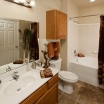 Lebanon Ridge Apartment Bathroom