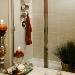 Lebanon Ridge Apartment Master Shower