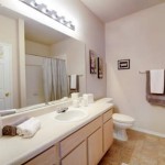 Marquis at Stonebriar Apartment Bathroom