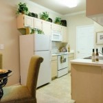 Marquis at Stonebriar Apartment Kitchen