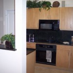 The Residences at Frisco Square Apartment Kitchen
