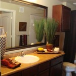 Cool Springs at Frisco Bridges Apartment Bathroom