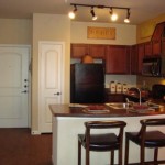 Cool Springs at Frisco Bridges Apartment Kitchen