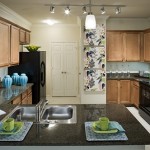 Camden Panther Creek Apartment Kitchen.