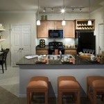 Camden Panther Creek Apartment Kitchen