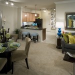Camden Panther Creek Apartment Living Area