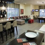 Camden Panther Creek Apqartment Living Area