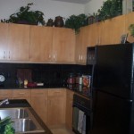 The Residences at Frisco Square Plaza & Boulevard Apartment Kitchen