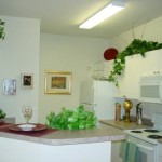 Wade Crossing Apartment Kitchen
